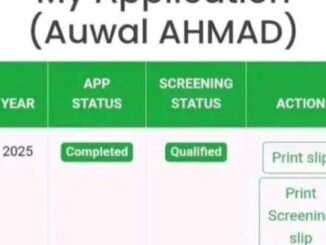 Bauchi State 2025 Recruitment Portal